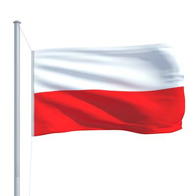 vidaXL Poola lipp ja lipumast, alumiinium, 6,2 m