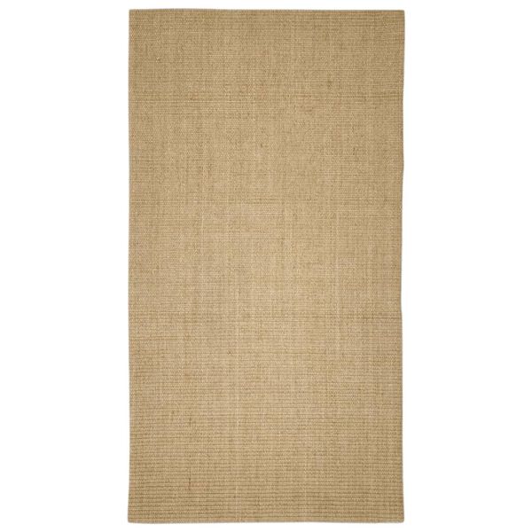 vidaXL sisalvaip kraapimispostile, 80 x 150 cm