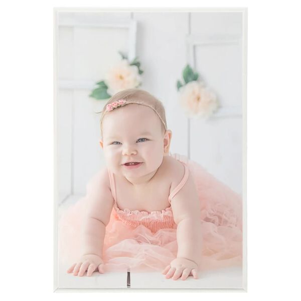 vidaXL fotoraami kollaaž 5 tk, lauale, hõbedane, 21x29,7 cm MDF