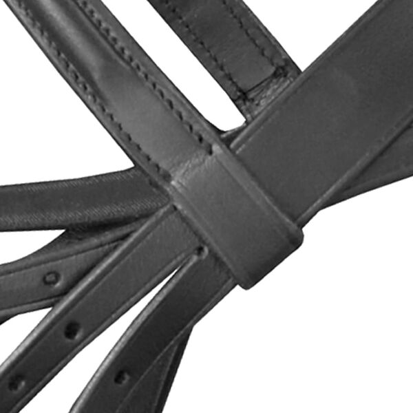 Nahast valjad, ratsmed ja suuline hobusele must