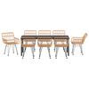 vidaXL Aia s&ouml;&ouml;gilaudade komplekt 9 pcs Pruun Pulberv&auml;rvitud teras