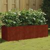 vidaXL taimekast, 120 x 40 x 40 cm, Corten-teras