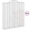 vidaXL kaarekujulised gabioonkorvid 15 tk, 200x50x220/240 cm, raud