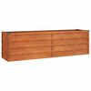 vidaXL taimekast, rooste, 160x40x45 cm, Corten-teras