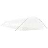 vidaXL kasvuhoone terasraamiga, valge, 120 m&sup2;, 20x6x2,85 m