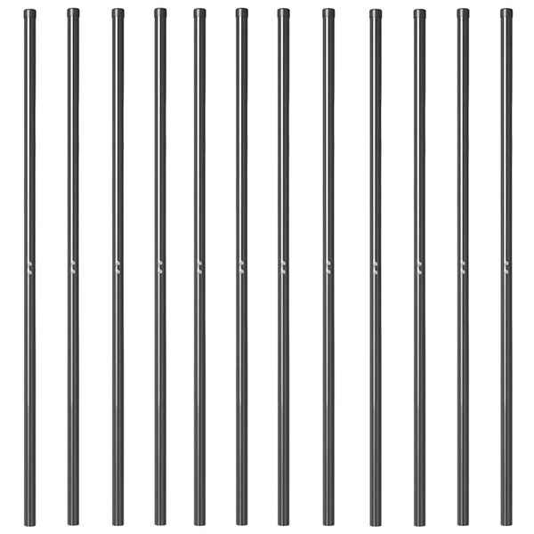 vidaXL Aiapostid 12 pcs Hall Pulbervärvitud Teras