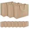 vidaXL Džuutkottid 10 pcs Naturaalne 42 x 33 x 19 cm 100% Tossa džuut