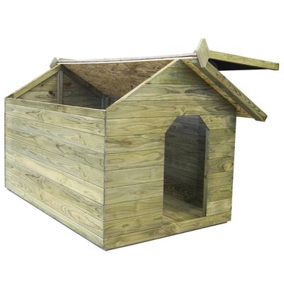 vidaXL koerakuut avatava katusega, immutatud männipuit