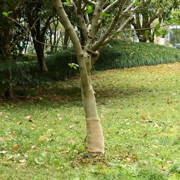 vidaXL džuudist rull, 0,25x100 m, 100% džuut 200 gsm