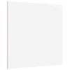 vidaXL Dekor Paneelid 12 tk Valge 30 x 30 x 0.27 cm Tehispuit
