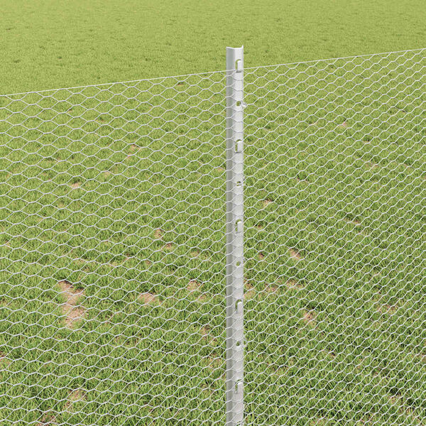 vidaXL Aed koos postiga H&otilde;bedane 1 x 100 m Teras