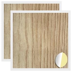 vidaXL Kleebis kruvi kate 2 pcs K&auml;sit&ouml;&ouml;puu &Oslash; 20 x 0,5 mm Kaetud paber