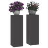 vidaXL Taimede alus 2 pcs Must 24 x 24 x 75 cm Teras