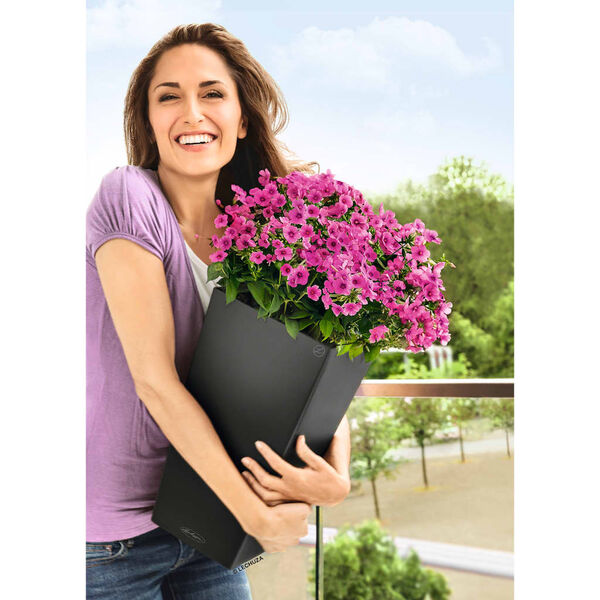 LECHUZA taimekast "Cubico Color 30 ALL-IN-ONE" liist 13138