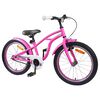 vidaXL Laste Bike 20 Tolli vanuses 6-11 aastat Tumepink