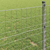 Toote pisipilt  4 / 9
