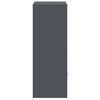 vidaXL Pakiautomaat ladustamisega Antratsiit 41 x 38 x 103 cm Teras
