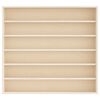 vidaXL puidust koguja vitriin 6 riiuliga, 60x8,5x55 cm