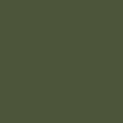 vidaXL taimekast, oliiviroheline, 49 x 47 x 46 cm, külmvalts teras