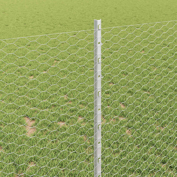 vidaXL Aed koos postiga Hõbedane 1 x 10 m Teras