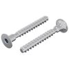 vidaXL Kinnitus 2 tk Tsinkkattega 5 x 40 mm Raud