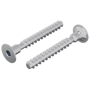 vidaXL Kinnitus 2 pcs Tsinkkattega 5 x 40 mm Raud