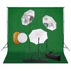 vidaXL fotostuudiokomplekt lambid, vihmavari, taustapilt ja reflektor