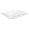 Toote pisipilt  3 / 7