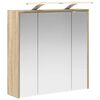 vidaXL Vannitoa peeglikapp Sonoma tamm 63,5 x 16 x 62,5 cm Tehispuit