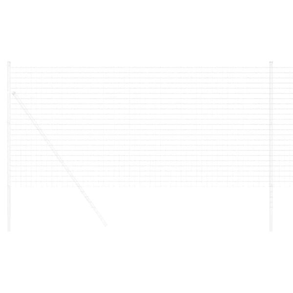 vidaXL Euroopa aed Hõbedane 1.4 x 10 m Kuumtsinkitud raud