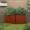 vidaXL taimekast, 2 tk, 42x40x39 cm, Corten teras