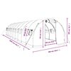 Toote pisipilt  12 / 12