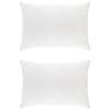 vidaXL Padi FULDA 2 pcs 70 x 90 cm 100% hane sule ja sule Valge