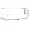 vidaXL taimekast, 100 x 100 x 41 cm, Corten-teras