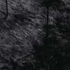 vidaXL k&otilde;rge narmaga Shaggy vaip, NAVARRA, must, 240x240 cm, pol&uuml;ester