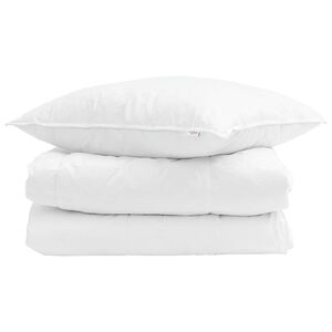 vidaXL Suvised teki padjaga 2 pcs Valge Down Feather