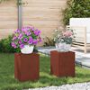 vidaXL Taimede alus 2 pcs Rooste 24 x 24 x 35 cm terase t&uuml;&uuml;p