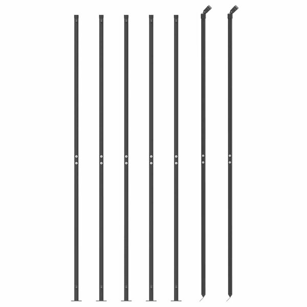 vidaXL traataed &auml;&auml;rikuga, antratsiithall, 2,2x10 m