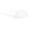 vidaXL kasvuhoone terasraamiga, valge, 66 m², 22x3x2 m