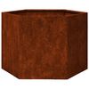 vidaXL taimekast, rooste, 60x60x45 cm, Corten teras