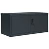 vidaXL dokumendikapp, antratsiithall, 90 x 40 x 40 cm, teras