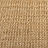 vidaXL vaip naturaalne sisal 100x200 cm