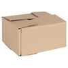 vidaXL Kokkuklapitav kast 50 pcs Neutraalne 20 x 15 x 10 cm Papp