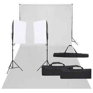vidaXL fotostuudio komplekt valgustuse ja taustapildiga