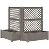 vidaXL Suur taimelava trellisega 2 pcs Hall 143 x 143 x 133,5 cm PP
