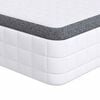vidaXL Madrats Valge ja hall 90 x 200 cm Bonelli vedru