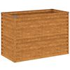 vidaXL aiapeenar 100 x 50 x 69 cm Corten terasest