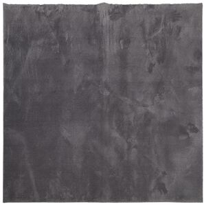 vidaXL vaip "HUARTE", l&uuml;hikese narmaga, pestav, antratsiit, 120x120 cm