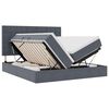 vidaXL Voodi LED-ribadega peaga Tumehall 180 x 200 cm Samet