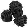 vidaXL hantlid 2 x 15 kg